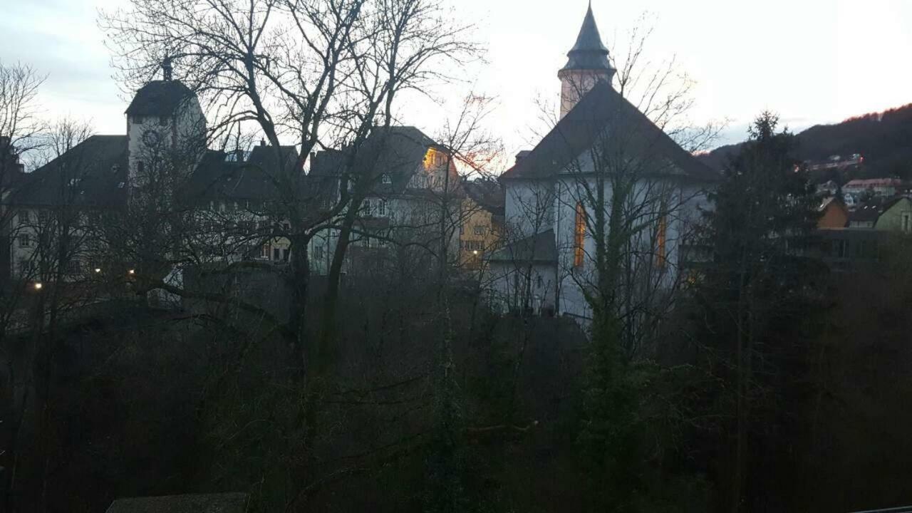 Waldshut Suite In Zentrum Bagian luar foto